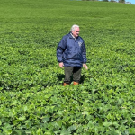 Aldo Vendramin destaca como o agronegócio sustentável alia produtividade à responsabilidade ambiental.