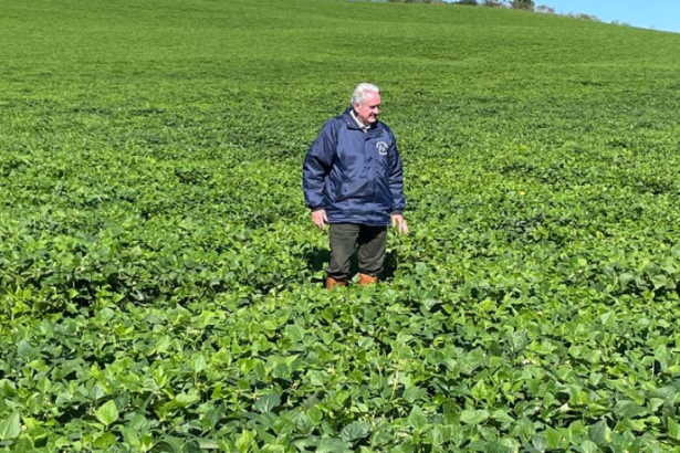 Aldo Vendramin destaca como o agronegócio sustentável alia produtividade à responsabilidade ambiental.