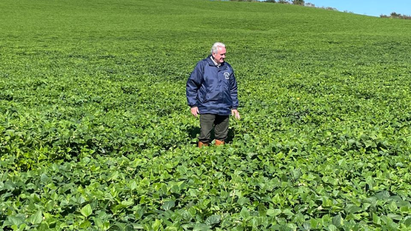 Aldo Vendramin destaca como o agronegócio sustentável alia produtividade à responsabilidade ambiental.