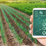 A tecnologia no agronegócio avança com novas soluções e Luciano Colicchio Fernandes analisa como a inovação está transformando o campo