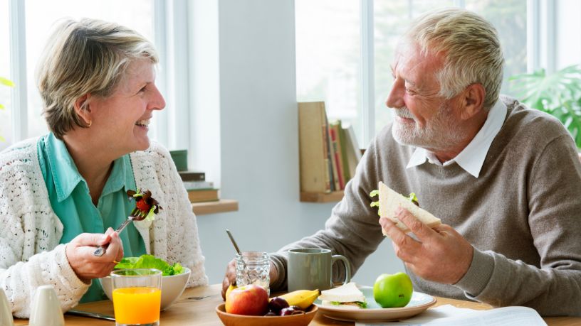 Sindnapi - Sindicato Nacional dos Aposentados, Pensionistas e Idosos