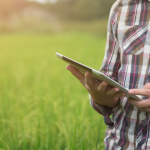 O Poder dos Pequenos: Como Tecnologia e Sustentabilidade Transformam o Agro no Ceará