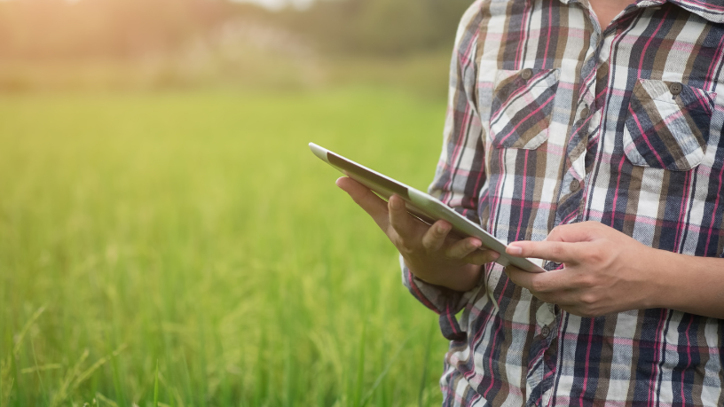 O Poder dos Pequenos: Como Tecnologia e Sustentabilidade Transformam o Agro no Ceará